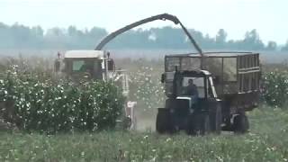 Уборка кукурузы на силос 21.09.2018