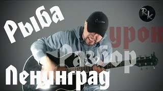 Рыба-Ленинград(Разбор кавера+Простые аккорды)