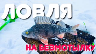 Ловля окуня на безмотылку. Только эта мормышка спасает!!! Рыбалка на водохранилище.