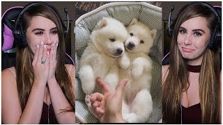 TRY NOT TO AWW CHALLENGE (IMPOSSIBLE)