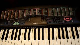 Обзор синтезатора Casio CTK-495