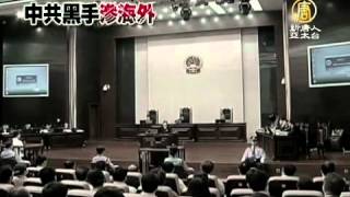 【中国热点真相最新新闻】报导真相 新唐人加拿大总裁受威胁