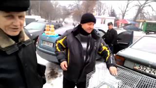 СМОТРИ - не пропусти! Луганск выставка голубей 03.02.2018