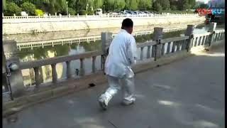 Song Shi Xingyi Quan/Сун Ши Синъи Цюань (宋氏形意拳), Cheng Wenxin (程文新), Wu Xin Quan (五行拳)