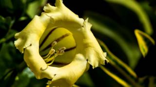 Photo Test 1: Nikon D5200 + Tamron 70-300 LD DI 1:4-5.6 Tele-Macro 1:2
