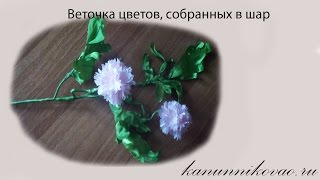 Веточка с цветами, собранными в шар