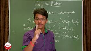 Diversity in Living Organisms class 9 | F | Kingdom Protista class 9 | Unicellular eukaryotic
