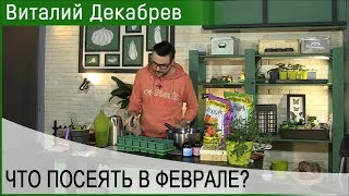 Что посеять в феврале? Дача с Виталием Декабревым(90100218)