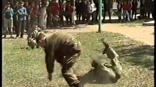 9 мая 2003 показательные выступления парк