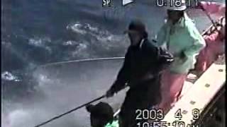 HOPEC Hamaguchi Tuna Pole Fishing