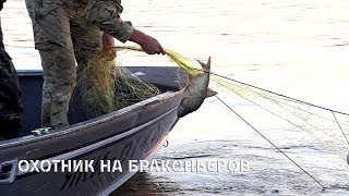 Борьба с браконьерами | Как фиксировать браконьеров.