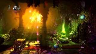 Trine 2, Hard HC without skills: Level 6 - Shadowed Halls