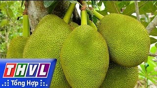 THVL | Chào buổi sáng (24/08/2018)
