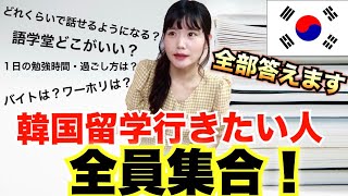 【韓国語】韓国留学行きたい人は全員見て!語学留学完全解説版!留学生活は?バイトは?語学堂は?入学の方法は?【日韓カップル/韓国留学/韓国ワーホリ/한일커플】