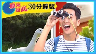【食物的由來】鳳梨酥X牛軋糖X鴨賞X太陽餅｜EP05 YOYO原來如此 完整版