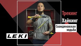 Как выбрать трекинговые палки