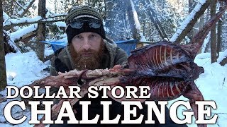 DOLLAR STORE SURVIVAL CHALLENGE in the FOREST | BUSHCRAFT Shelter  with Wild RABBIT