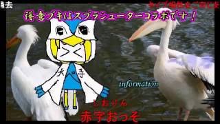 【ポケモンORAS】強者に打ち克つMEC【vsカビパラさん】