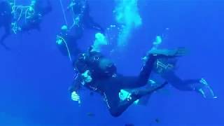 Un bel pesce San Pietro a Punta Secca -Isola di Giannutri