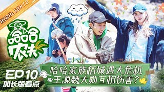 《哈哈农夫》第10期 加长版看点：刚哥上线徒手捡牛粪 金瀚猝不及防的秀肌肉 HAHA Farmer EP10 ▶ 完整版已上线芒果TV国际App【湖南卫视官方HD】