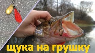 Щука на грушку (пуля, кукурузка)