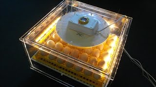 Uitkomst en handleidingsfilm Vitrine broedmachine