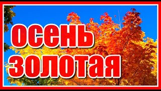 ✦ Осень золотая...✦