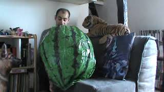inflatable beachball watermelon