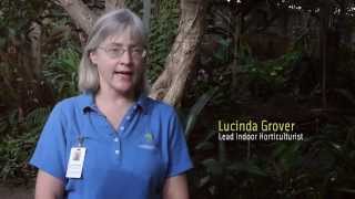 Butterflies Are Blooming at Meijer Gardens