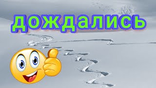 ПРИШЛА ЗИМА/СОБАКА/СВИНЬИ/ЖИЗНЬ В ДЕРЕВНЕ