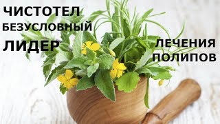 КАК ИЗБАВИТЬСЯ ОТ ПОЛИПОВ ЖЕЛУДКА И ТОЛСТОЙ КИШКИ С ПОМОЩЬЮ ЧИСТОТЕЛА.