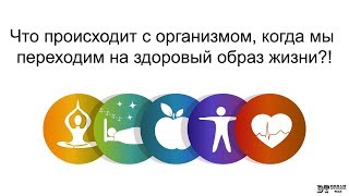 Обострения в организме при переходе на правильное питание и здоровый образ жизни