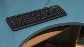 Esto es lo que pasa cuando te falla el teclado en un juego on-line