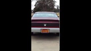 1981 Turbo Formula Firebird video