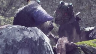 【PS4】人喰いの大鷲トリコ（THE LAST GUARDIAN） - 5時間以内クリア＆死亡なし攻略 PART 10