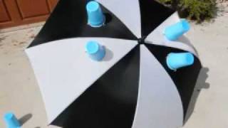 diane's deer fly trap