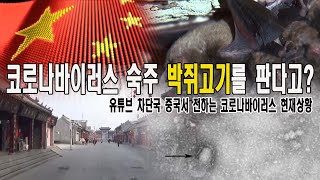 중국 시중에 박쥐고기가? 유튜브에서 전하는 중국 우한 현지소식