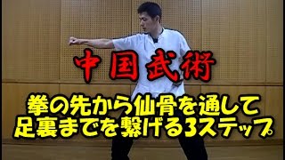 【中国武術】拳先から足裏までを繋げる3ステップ～上半身編～（＃114）