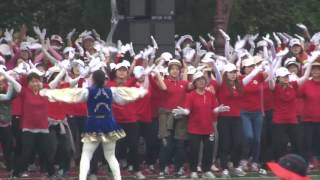 2016 대순화합한마당 체육대회