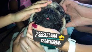 Я звездааа! Фан-встреча в Севастополе! Chubaka Vlog!