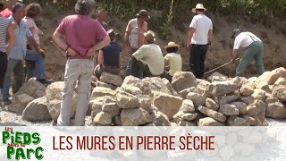 Les Pieds dans le Parc #2 - Les murs en pierre sèche