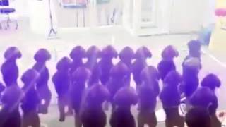 Puppies love noisekick
