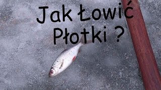 Jak łowić Płotki spod lodu ? / Wędkarstwo podlodowe 2016 !!! - Styczniowe płotki !