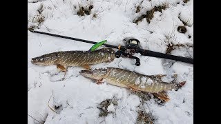 ZipBaits Orbit 110SP Green Lizard спасает зимнюю рыбалку.