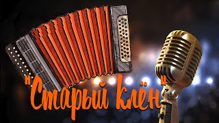 СТАРЫЙ КЛЁН / Караоке под гармонь