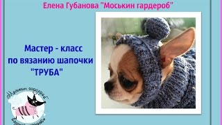 Мастер   класс вяжем шапочку собаке