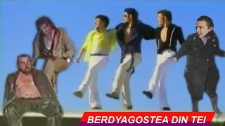 Молдавский слоник | MMV