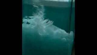 Ацетат натрия - дубль первый