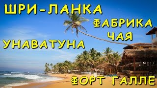 Шри-Ланка  / УНАВАТУНА / ДЖАНГЛ БИЧ / ЧАЙНАЯ ПЛАНТАЦИЯ И ФАБРИКА / ГАЛЛЕ ФОРТ