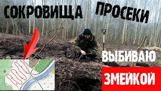 Сокровища просеки . Выбивание места змейкой.  Коп 2020.